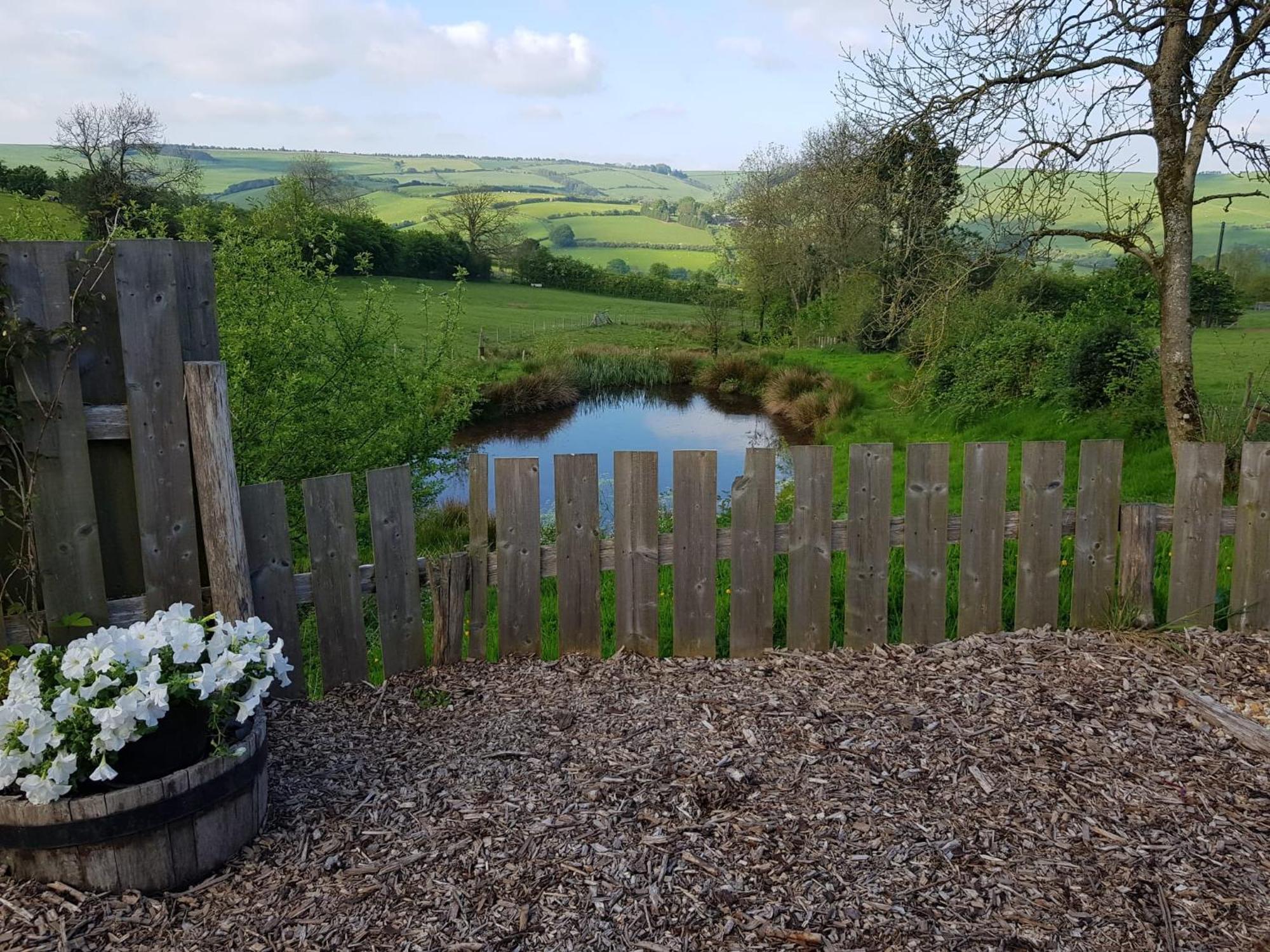 Eco Accommodation Cornflower Holiday Craven Arms Exterior foto